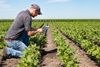 A man kneeling in a field full of many rows of crops. He's using his finger to touch a tablet.
